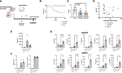 Praziquantel Reduces Maternal Mortality and Offspring Morbidity by Enhancing Anti-Helminthic Immune Responses